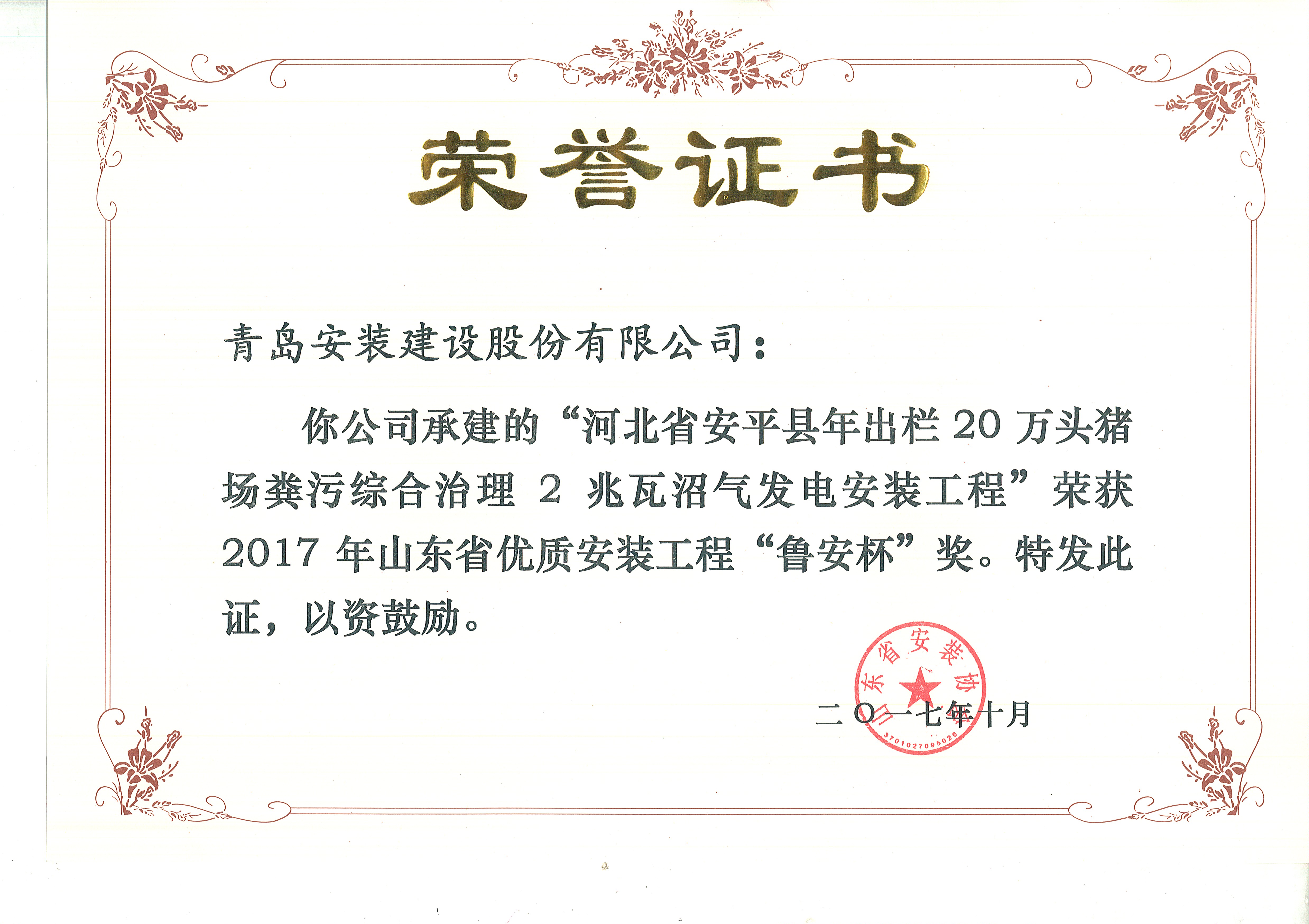 73、17魯安杯-河北安平2兆瓦沼氣發(fā)電.jpg